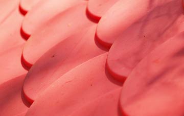 Littleton plastic roof costs