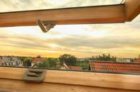rated Littleton roof window companies